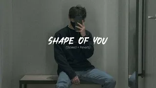 Shape Of You Ed Sheeran Slowed Reverb 