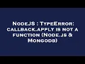 NodeJS TypeError callback apply is not a function Node js Mongodb