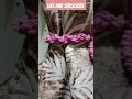 Macrame Curtain Tie Leaf Pattern tutorial Macrame