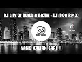 Download Lagu DJ LILY X BUILD A BICTH JUNGLE DUTCH - DJ IDOO RMX