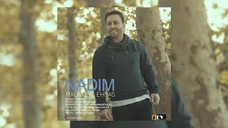                                           ندیم   ملکه ی احساس دندنها
