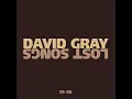 As I'm Leaving - David Gray