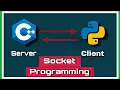 Server side in C and Client side in Python Socket programming