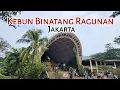 Download Lagu Kebun Binatang Ragunan Tahun 2025