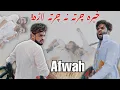 Lagu Khabara charta na charta Lara ||Ok Boys|| Afwah