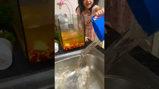 بيسو بدا تدلل سمكاتها  النتيجة    دندنها