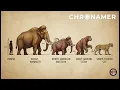 The Clovis Culture America s First Hunters Who Killed Mammoths 13 000 Years Ago