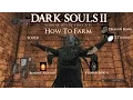 Dark Souls 2 SOTFS Farming Ascetics Effigys Wilted Dusk Herbs Dragon Bones T Titanites Souls