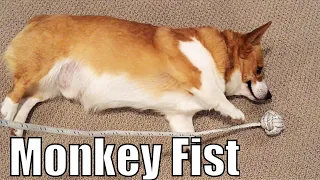 How to Tie a Monkey Fist 🐵 👊 | Sailing Wisdom