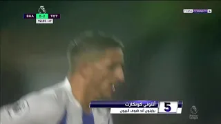 ءءءءءءءءءءءءءءءءءء دندنها