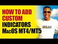 How to add custom indicators to mt5 mac - how to add custom indicators to mt4 mac