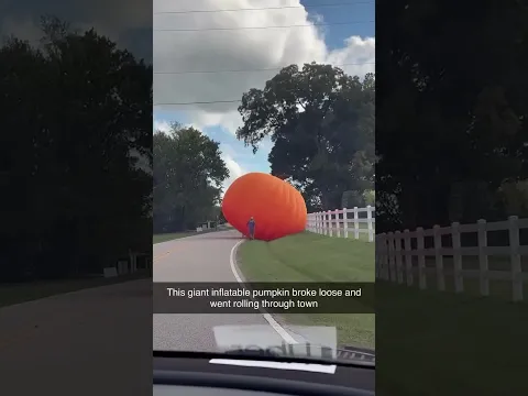 Shoutout to the guy who stopped it