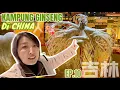 Lagu KAMPUNG GINSENG DI CHINA