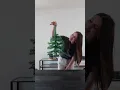 These mini DIY Christmas trees cost me only 6