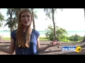 Rocky Point Vacation Rentals - SeaSideMexico com