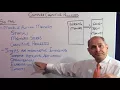 Complex Cognitive Processes Part 1 - Transition from Simple to Complex
