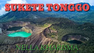 Download SUKETE TONGGO_NELLA KHARISMA official (lirik) MP3