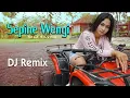 Sepine Wengi (DJ REMIX) ~ Sela Silvina   ||   FULLBASS