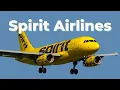 Why Spirit is the Most Hated Airline✈️