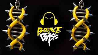 Lollibus, Robbe - DNA
