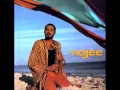 Download Lagu Najee - What You Do To Me