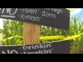 Farmer Mike s Corn Maze 2