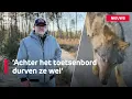 Johan filmde achtervolging door wolf en kreeg online veel kritiek \u0026 topdrukte voor ondernemers