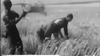 أغنية من التراث صالح يا صالح يا ڨمح البليوني 