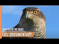 Download Lagu Hunters Of The Skies | Full Episode