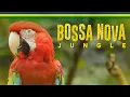 Download Lagu Bossa Nova Jungle - Cutest Animals