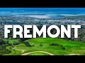 Top 10 Best Things to Do in Fremont California - Travel Guide 2024