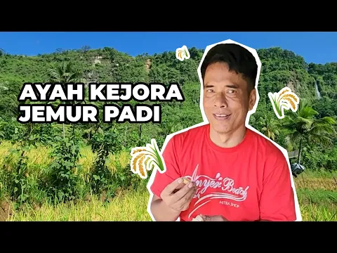 Download MP3 Waktunya Jemur Padi Bareng Ayah Kejora | Vlog Lesti