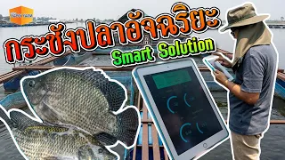 กระชังปลาอัจฉริยะ แฮปปี้ฟาร์ม - Smart Solution