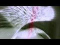 KOAN Sound - Seclusion Fusion (Mix)
