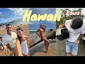 HAWAII VLOG we rescued a kitten