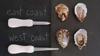 Download How to Shuck an Oyster Like a Pro - Kitchen Conundrums with Thomas Joseph MP3