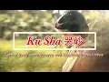 Ku Sha - 哭砂 - Cry Sand - Pasir Menangis - Tracy Huang (黃鶯鶯) 
