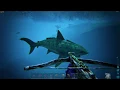 ARK SURVIVAL EVOLVED New Crossbow - and new tranq arrow