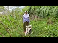 Download Lagu GAK SENGAJA‼️BERTEMU DENGAN GADIS KECIL  CANTIK TANPA BAPAK TANPA IBU DI KEBUN SEDANG BANTUIN NGARIT
