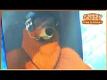 Download Lagu Crash Training Course | Grizzy \u0026 the lemmings | 30' Compilation | 🐻🐹 Cartoon for Kids