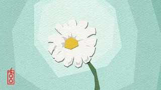 suggi - dream come true (audio)