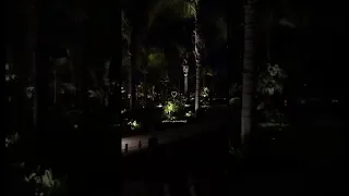 ولا سامع ولا راضي  ولا سامع ولا راضي