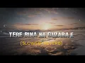 Download Lagu JOSH BRAR : Tere Bina Na Guzara E | Feat. Kinza Hashmi | Bunty Bains | Latest Punjabi Song 2024