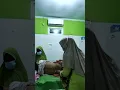 vidio ibu hamil bidan ida