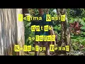 Download Lagu Momen Lebaran Idul Fitri 2019, Sukabumi ( Gigi - Raihlah Kemenangan )