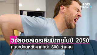 อาการปวดหลังส่วนล่างเกิดจากอะไรบ้าง