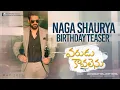 Download Lagu Happy Birthday Naga Shaurya - Varudu Kaavalenu Team | Ritu Varma | Lakshmi Sowjanya