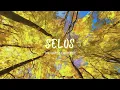 Selos - The Vowels they Orbit (Lyric Video)