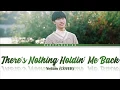 Download Lagu Yedam - There's Nothing Holdin' Me Back (COVER) Lyrics