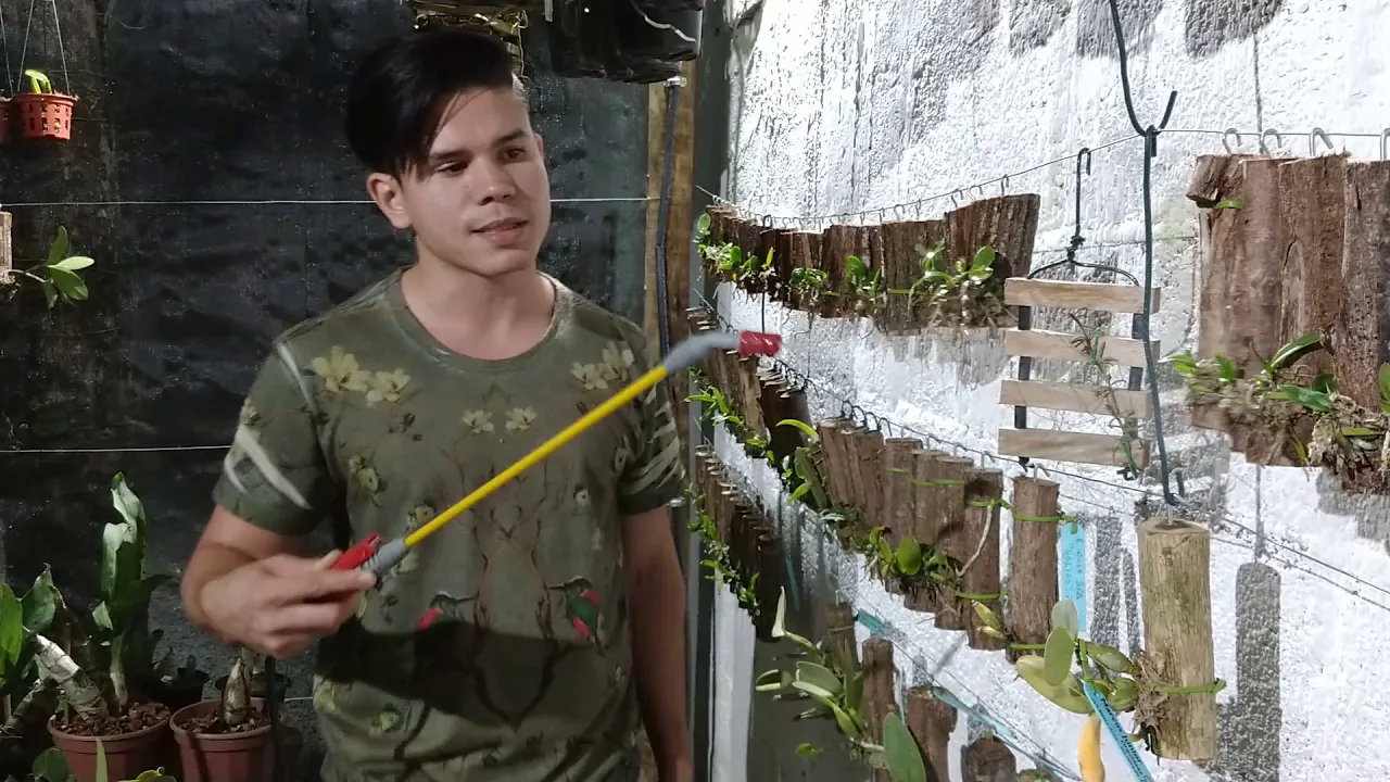 ADUBANDO MINHAS ORQUÍDEAS NO TOQUINHO SEACROP + ROOTEX